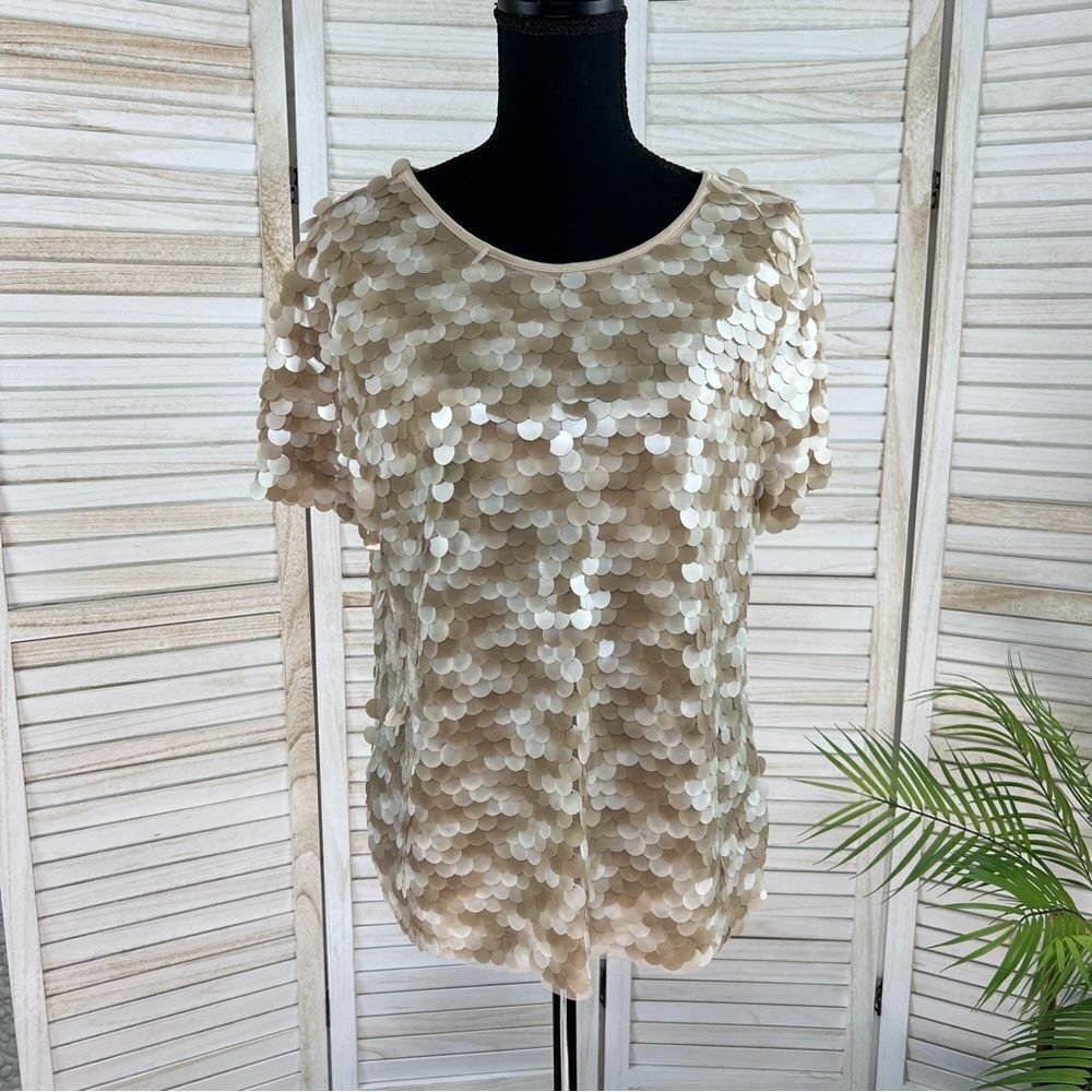 Eva Franco Anthropologie Taupe Sequin Tee Medium - Picture 3 of 13